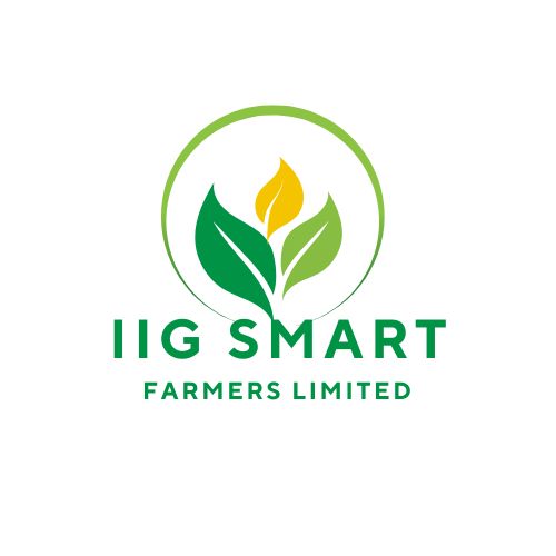 IIG Logo